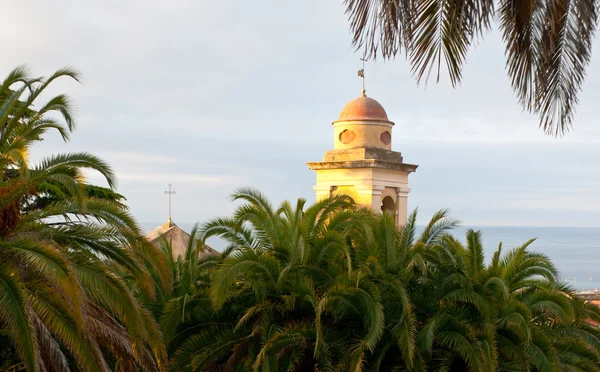 Klockstapeln bakom palmerna — Stockfoto