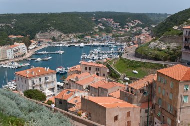 Bonifacio cenneti