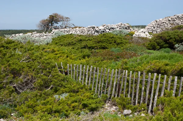 The wooden and stone fences — Stock Photo, Image