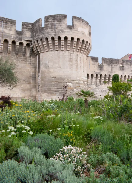 An old tower — Stock Photo, Image