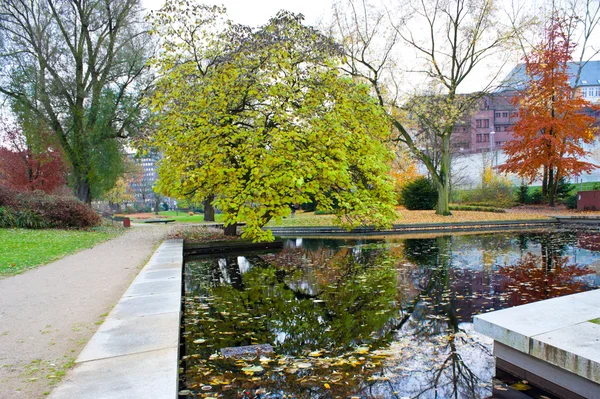 Herbstbaum — Stockfoto