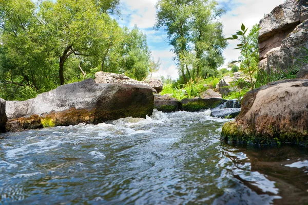 The small river — Stock Photo, Image