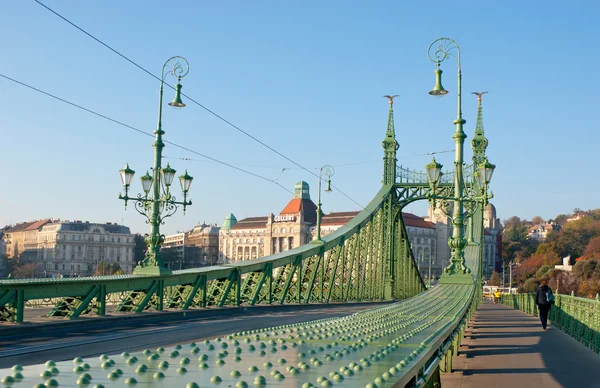 De groene brug — Stockfoto