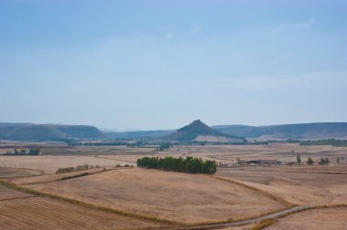 Sardunyalı kırsal manzara
