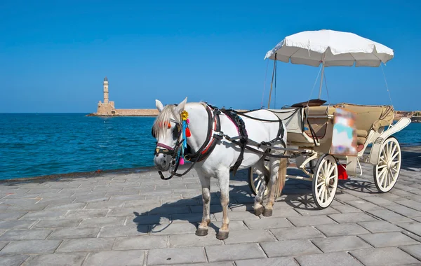 The carriage is waiting! — Stock Photo, Image