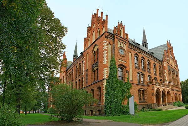 Das gotische Gebäude — Stockfoto