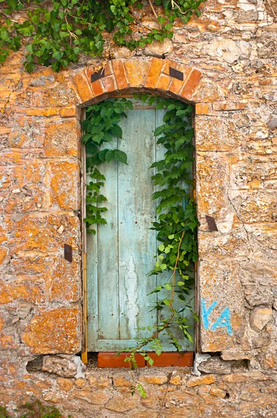 The old door