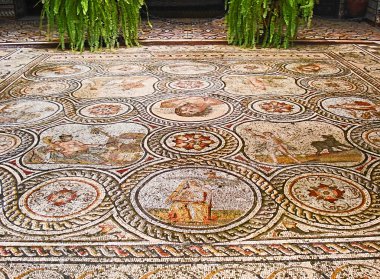 The mosaic floor clipart