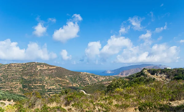 The agriculture lands — Stock Photo, Image