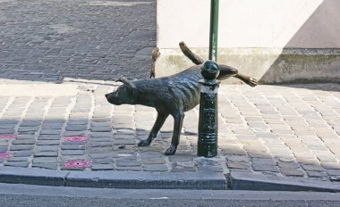 Köpek.
