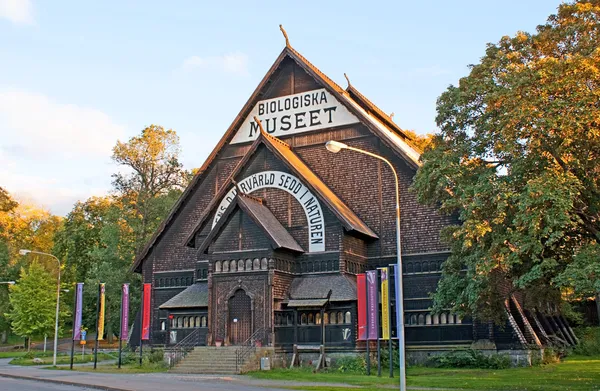 The medieval Norwegian architecture — Stock Photo, Image