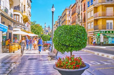 Granada, İspanya - 27 Eylül 2019: Plaza Nueva kaldırımı, 27 Eylül 'de Granada' da saksılarda bitki ve çiçeklerle süslenmiştir.