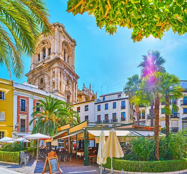 Den Livliga Plaza Romanilla Torget Med Utsikt Över Katedralen Klocktorn — Stockfoto