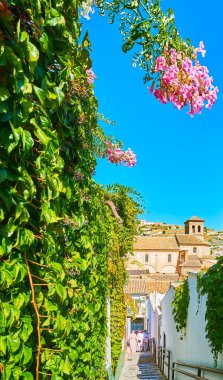Dar tepelik Espalda de San Nicolas sokağı, yemyeşil ve çiçek açan bitkilerle süslenmiş arka planda Nuestro Salvador (Kurtarıcımız) Kilisesi, Granada, İspanya