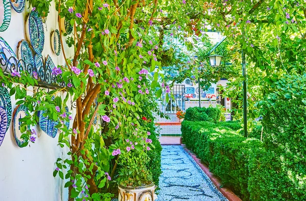 西班牙格拉纳达 传统的安达卢西亚庭院 装饰着精美的瓷盘 图案斑斓 绿树成荫 植物修剪整齐 — 图库照片