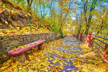 Arka sokaklarında altın yapraklar olan pitoresk sonbahar parkı, Korosten, Ukrayna 'daki Drevlians Parkı
