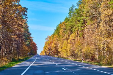 Altın sonbahar sezonunda, Ukrayna 'nın kırsal kesimlerinde hoş bir yolculuk.