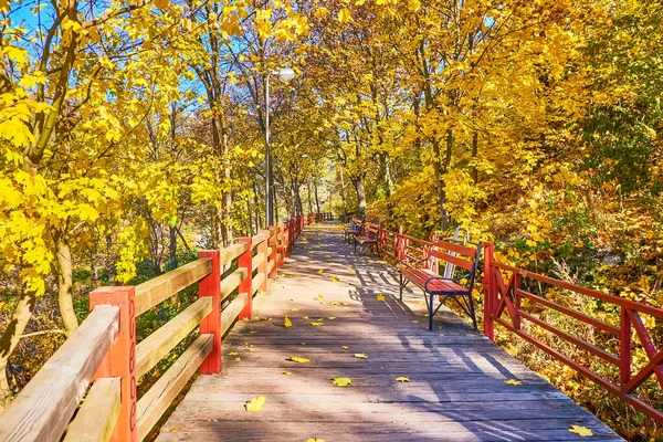 Drevlians Park, Korosten, Ukrayna 'daki sonbahar ağaçları arasındaki manzara sokağı
