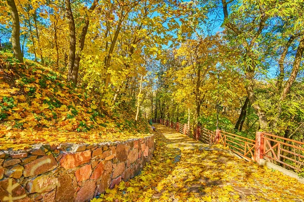 stock image Pleasant walk along the alley Drevlians Park in wonderful golden autumn atmosphere, Korosten, Ukraine