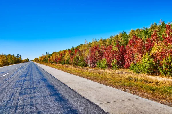 Kyiv 'in Ukrayna' daki banliyö gezisi sırasında, sonbahar ormanlarının manzarası arabanın penceresinden açılıyor.