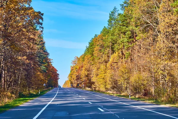 Altın sonbahar sezonunda, Ukrayna 'nın kırsal kesimlerinde hoş bir yolculuk.
