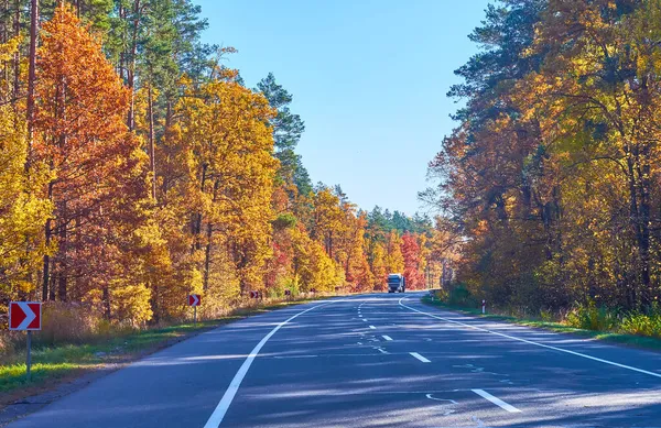 Kamyon, Ukrayna 'daki otistik ormanı çevreleyen yol boyunca ilerliyor.