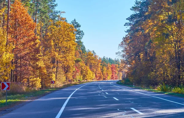 Kiev bölgesi Ukrayna 'nın sonbahar ormanları arasındaki manzaralı şehirlerarası yol kanatları