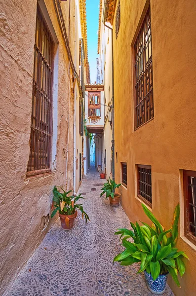 Narrow Backstreet Lined Old Walls Decorated Plants Pots Albaicin Granada — Stock Photo, Image