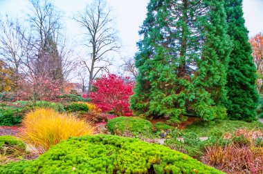 Manzaralı Planten un Blomen parkı sonbahar mevsiminde renkli ağaçlarla, Hamburg, Almanya