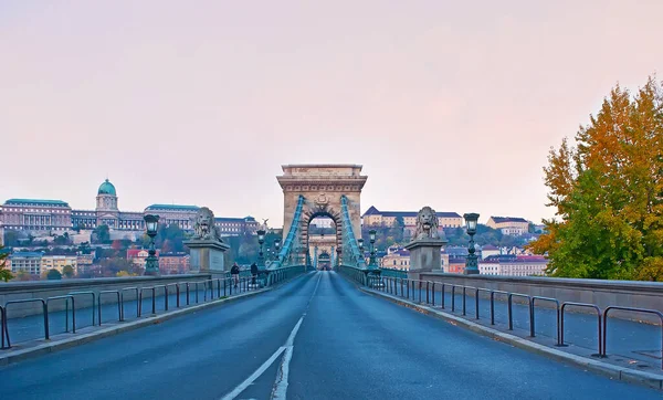 Paisagem Urbana Budapeste Com Leões Pedra Frente Ponte Cadeia Antigo — Fotografia de Stock