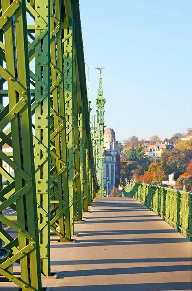 Pedestrian Walkway Liberty Bridge Bordered Green Metal Constructions Budapest Hungary — Stock Photo, Image