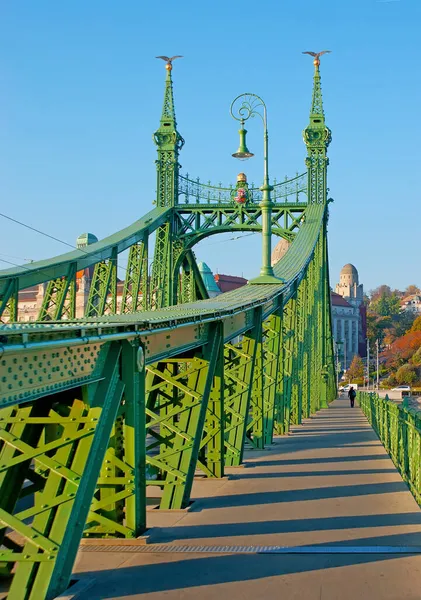 Ornate Liberty Bridge Versierd Met Fel Groene Kant Zoals Metalen — Stockfoto