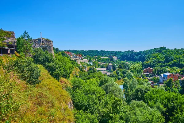 Exuberante Bosque Cubre Profundo Cañón Del Río Smotrych Kamianets Podilskyi —  Fotos de Stock