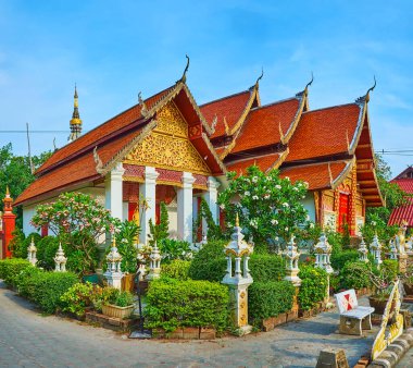 Wat Muentoom Tapınağı, Chiang Mai, Tayland çevresindeki küçük yeşil çiçek açan ağaç bahçesi.