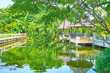 Wat Chetlin (Jedlin) tapınağındaki yeşil ağaçların gölgesinde dinlenin. Manzaralı bambu yolu, Chiang Mai, Tayland