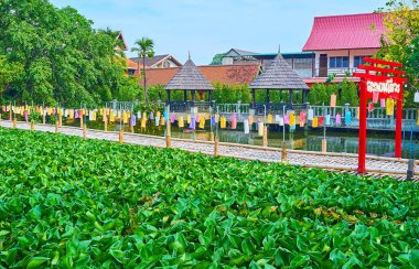 Güzel küçük göl, nilüfer çiçekleri ile kaplı eski bir bambu köprüsü, renkli fenerler, kırmızı ahşap kapılar ve karşı kıyıdaki yazlıklar, Wat Jedlin, Chiang Mai, Tayland