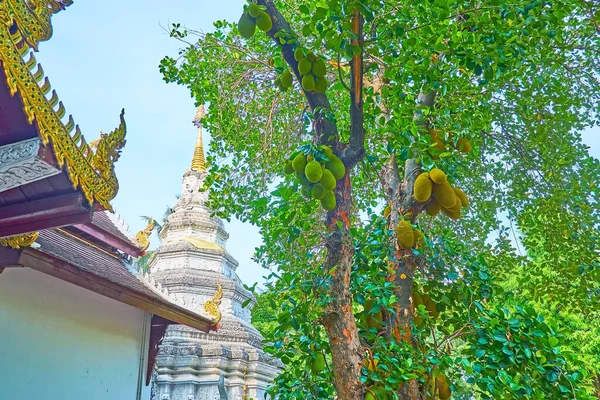 Scenic White Chedi Wat Phan Waen Temple Unique Stucco Decorations — Stock Photo, Image