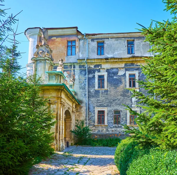 Die Gasse Des Katholischen Kathedralengartens Mit Blick Auf Sein Altes — Stockfoto