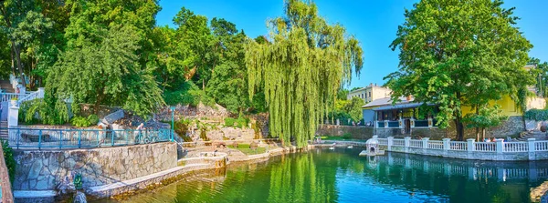 Kuğu Gölü çevresindeki yeşil ağaçlar Kamianets-Podilskyi, Ukrayna 'da yer alır.