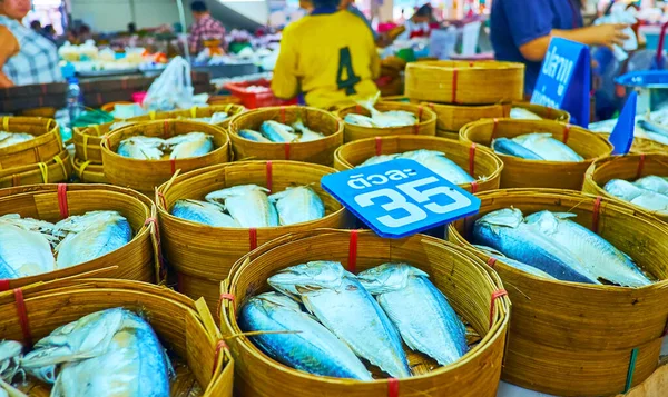 Explorez Les Étals Poissons Marché Tanin Avec Une Large Gamme — Photo