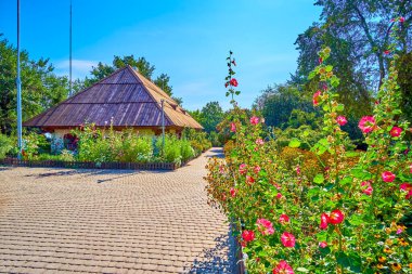 POLTAVA, UKRAINE - 22 Ağustos 2021: İvan Kotlyarevski Müzesi-Estate bahçesinde çiçek açan güzel yeşil bahçe, 22 Ağustos 'ta Poltava' da