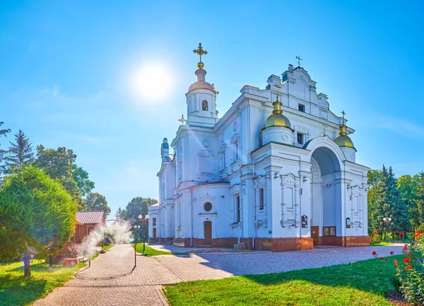 Monumental Facade Holy Dormition Cathedral Fine Example Cossacks Baroque Style — Stock Photo, Image