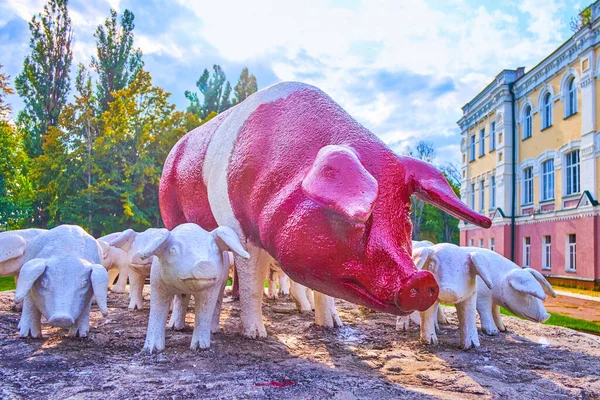 Poltava Ucrania Agosto 2021 Monumento Una Raza Cerdas Lechones Carne — Foto de Stock