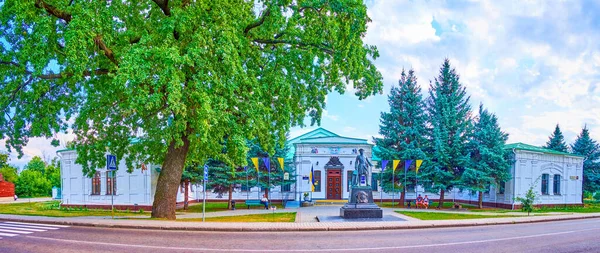 Poltava Ukraine Ağustos 2021 Büyük Peter Anıtıyla Poltava Savaş Tarihi — Stok fotoğraf