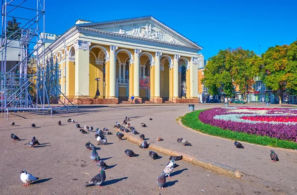 英国波塔瓦8月22日电 2021年8月22日 位于乌克兰波尔塔瓦的Mykola Hohol Nikolai Gogol 音乐剧剧场前阳光明媚的行人剧场广场上的一群鸽子 — 图库照片