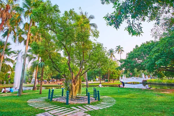 Zielony Buak Hard Park Stawem Fontannami Palmami Trawnikiem Kamforą Chiang — Zdjęcie stockowe