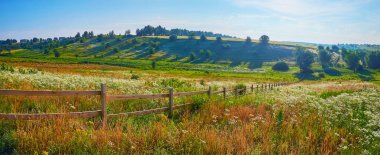 Çiçeklerin açtığı renkli yaz çayırları ve yüksek yeşil tepenin üzerinde uzun otlar.