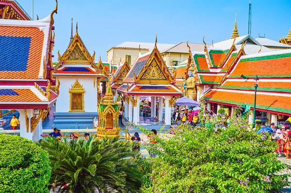 Bangkok Tailandia Mayo 2019 Verdor Con Flores Florecientes Complejo Wat — Foto de Stock