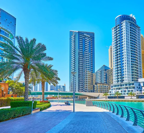 Dubai Marina Promenade Boasts Nice Views Spread Palm Trees Flower — Stock Photo, Image