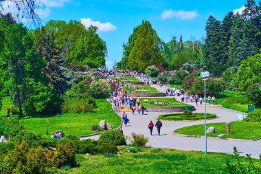 KYIV, UKRAINE - 16 Mayıs 2021: Ukrayna 'nın başkenti Kyiv' de çiçek açan leylaklar ve manzaralı çiçek tarlalarıyla botanik bahçesinin peyzajı